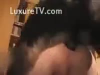 Black dog's meat inside her twat